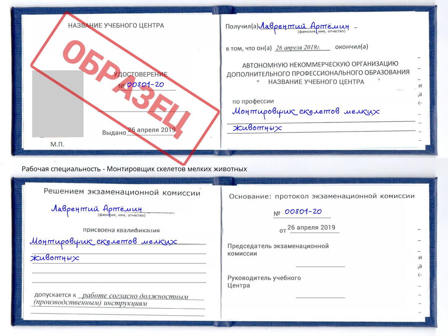 Монтировщик скелетов мелких животных Кудымкар