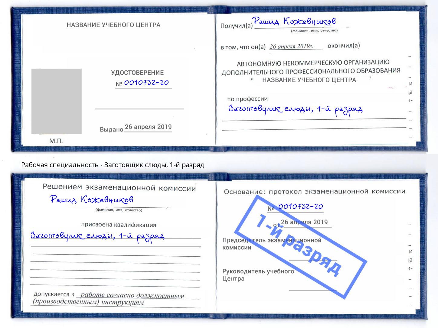 корочка 1-й разряд Заготовщик слюды Кудымкар
